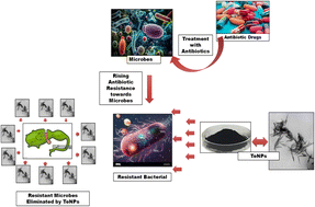 Graphical abstract: Tellurium nanoparticles as antimicrobial agents for multi-drug-resistant infections