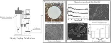 Graphical abstract: Single target formulation of thin film 58S bioactive glasses via magnetron sputtering with custom targets from spray-dried bioactive glass powders