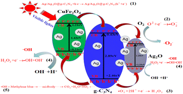 Graphical abstract: Enhanced visible-light photocatalytic degradation of methylene blue via a ternary Ag2O@CuFe2O4@g-C3N4 Z-scheme heterojunction with synergistic Fenton-like reactivity for sustainable water remediation