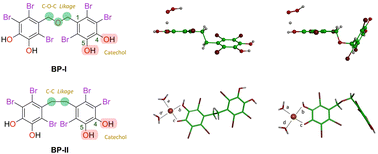 Graphical abstract: Insights into the antioxidant activity and metal chelation capacity of natural marine bromophenols: role of C–O–C and C–C linkages and the catechol group