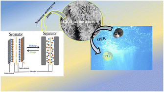 Graphical abstract: Facile preparation of cobalt-oxide nanostructures with enriched cobalt(ii) ion surface using Solanum melongena for energy application