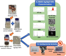 Graphical abstract: Phytofabrication of Ag/AgCl silver nanoparticles from the extract of Phoenix dactylifera L. Medjool date seeds: synthesis, characterization and antimicrobial properties