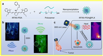 Graphical abstract: A TME-activated photothermal agent with photodegradability for accurate breast tumor photothermal therapy