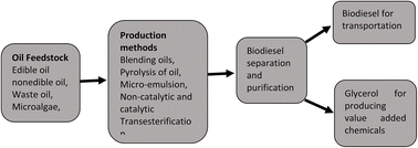 Graphical abstract: Sustainable biodiesel production: importance of feedstock resources and production methods