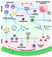 Graphical abstract: Long-acting injectable nanoemulsion for anti-inflammatory therapy: luteolin and resveratrol-loaded CMC formulation regulates TH1/TH2 homeostasis in ovalbumin-induced allergic rhinitis in mice models