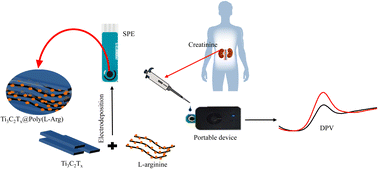 Graphical abstract: A portable smartphone-based electrochemical sensing platform for rapid and sensitive detection of creatinine in blood serum