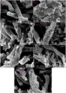Graphical abstract: Novel aminothiazole-supported chlorocellulose composite for the efficient removal of cationic dyes from wastewater