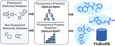 Graphical abstract: DyeLeS: a web platform for predicting and classifying fluorescence properties of bioactive molecules