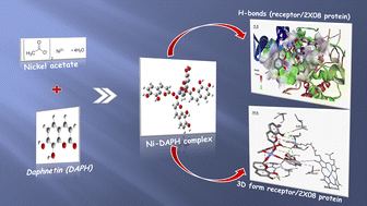Graphical abstract: Enhancing the antioxidant potential of a coumarin derivative via nickel complexation: synthesis, spectral insights, DFT analysis, and molecular docking