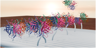 Graphical abstract: Toward high-density streptavidin arrays on DNA origami nanostructures
