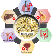 Graphical abstract: A comprehensive review on the anti-cancer properties of sesame lignans: chemical composition, molecular mechanisms and prospects