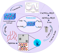 Graphical abstract: A colorimetric probe based on peroxidase-like activity of CuAl-LDH/agarose nanocomposite hydrogel for determination of vancomycin in exhaled breath condensate
