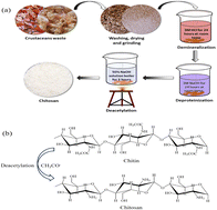 Graphical abstract: Recent progress in adsorptive removal of different contaminants by chitosan-based aerogel