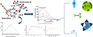 Graphical abstract: Turn-off fluorescence sensing of raloxifene using erythrosine B with detailed spectroscopic and quantum mechanical studies for pharmaceutical and environmental applications