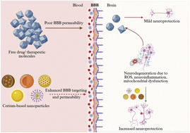 Graphical abstract: Cerium-based nanoparticles for neurodegeneration: emerging redox therapeutics beyond pharmaceuticals