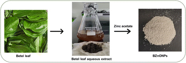 Graphical abstract: Betel leaf-mediated zinc oxide nanoparticle-coated silk fibres: a sustainable approach for biomedical applications
