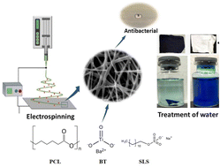 Graphical abstract: Innovative electrospun macromolecule-based nanofibers for cationic dye removal and antibacterial applications