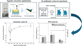 Graphical abstract: Extraction of saponins from soapnut and their application in controlling ammonia and particulate matter