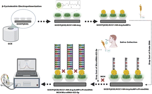 Graphical abstract: Label-free biosensing of microRNA-423-5p in saliva sample of patients using KAUST catalysis center-1 modified dendritic AuNPs: a new platform towards early-stage diagnosis of oral cancer