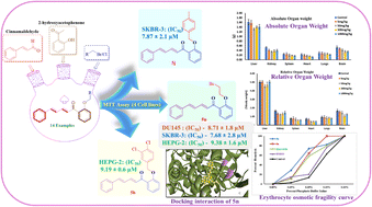 Graphical abstract: Design, synthesis, and in silico docking studies of novel cinnamaldehyde–chalcone derivatives with anti-cancer potential and in vivo acute oral toxicity profiling