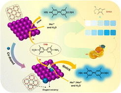 Graphical abstract: Insight into the oxidase-mimicking activity enhancement of MnO2 nanozymes by Co ion-doping for colorimetric sensor assays