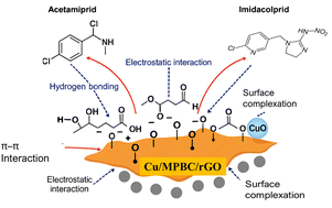 Graphical abstract: Efficient removal of selected neonicotinoids from single and combined systems using CuO/rGO modified musa parasidiaca biochar: insight into cost analysis