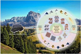 Graphical abstract: Shale-hosted vanadium occupation in typical silicate mineral structures