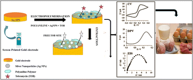 Graphical abstract: Electrochemical sensor based on molecularly imprinted polymer and voltammetric electronic tongue technology: an efficient strategy for sensitive detection of tobramycin residues
