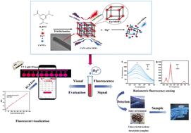 Graphical abstract: Portable ratiometric fluorescence sensor based on CuNCs@EuMOFs for visual detection of Hg(ii) in water samples