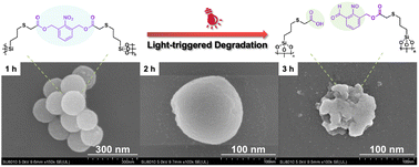 Graphical abstract: Light-triggered degradable bridged polysilsesquioxane nanoplatforms for spatiotemporally controlled drug release