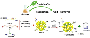 Graphical abstract: A sustainable approach to the development and characterization of chitosan thiomer beads for the efficient removal of Cd(ii) ions from aqueous effluents
