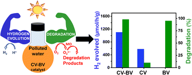 Graphical abstract: Catalytic engineering of a cerium vanadate–bismuth vanadate system to yield a bifunctional photocatalyst for simultaneous hydrogen generation and pollutant degradation