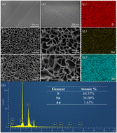 Graphical abstract: Plasmonic effect-driven strategy for boosting photoelectrocatalytic degradation of rhodamine B using a SnS2/Au self-supported photoelectrode