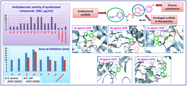 Graphical abstract: Furan–thiazole hydrazone scaffolds as promising antitubercular and antibacterial agents: synthesis, characterization, bioevaluation and computational analysis