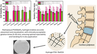 Graphical abstract: Evaluation of alginate/poly(vinyl alcohol)/BaSO4 hydrogels for nucleus pulposus regeneration