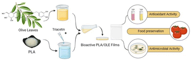 Graphical abstract: Olive leaf extract as a natural antioxidant and antimicrobial additive in biodegradable PLA film and its potential utilization in active packaging