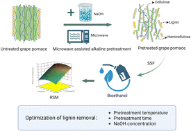 Graphical abstract: Microwave-assisted alkaline pretreatment of white grape pomace for the production of bioethanol