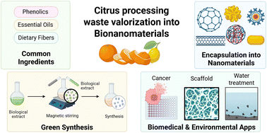 Graphical abstract: Valorization of citrus processing waste into high-performance bionanomaterials: green synthesis, biomedicine, and environmental remediation
