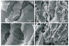 Graphical abstract: Adsorption performance of zero-valent iron-loaded biochar for tetracycline antibiotics