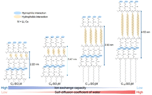 Graphical abstract: Highly phase-separated alternating copolymer of alkyl vinyl ether and sulfonic acid group-containing trifluoro vinyl ether