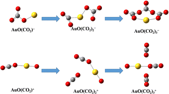 Graphical abstract: CO2 adsorption and activation on AuO(CO2)n−/+ (n = 1–3) clusters: a theoretical study