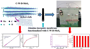Graphical abstract: Multifunctional carbon-modified MoS2 with expanded interlayer spacing and multiple exposed sulfur active sites for high-capacity Hg(ii) adsorption