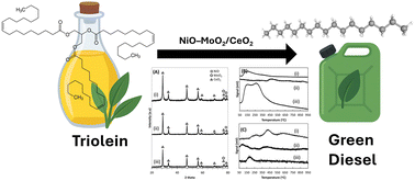 Graphical abstract: Green diesel production via deoxygenation of triolein catalysed by nickel-molybdenum-supported catalysts
