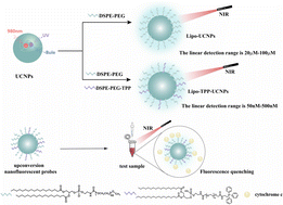 Graphical abstract: Label-free fluorescent probe based on upconversion nanoparticles for convenient detection of cytochrome c