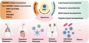 Graphical abstract: Disulfiram as an anti-inflammatory agent: mechanisms, nano-delivery strategies, and applications in non-oncologic diseases