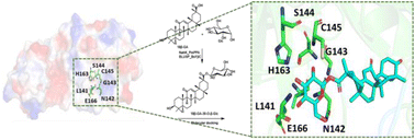 Graphical abstract: Glycosylated 18β-glycyrrhetinic acid derivatives as promising inhibitors of the SARS-CoV-2 main protease