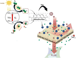 Graphical abstract: Multifunctional PVDF membranes incorporating graphene, TiO2, and nanocellulose: synergistic effects on filtration and antifouling performance