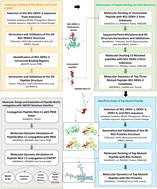 Graphical abstract: Structure guided design and molecular modelling of a novel peptide–SWCNT biosensor targeting NS1 dengue virus