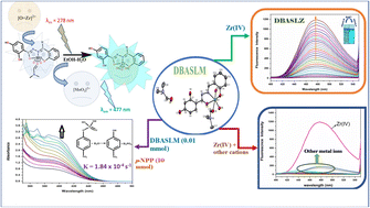 Graphical abstract: A new dioxo-molybdenum complex derived from an amide-based imine derivative for the fluorescence recognition of Zr(iv) with phosphatase activity