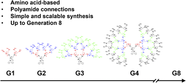 Graphical abstract: Using pseudo-symmetrization to overcome dendrimer surface steric crowding: a birth of l-lysine-β-alanine architecture